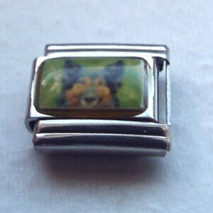 Belgian Shepherd dog photo 9mm stainless steel italian charm bracelet link new